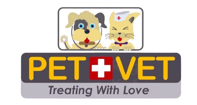 Pet Vet